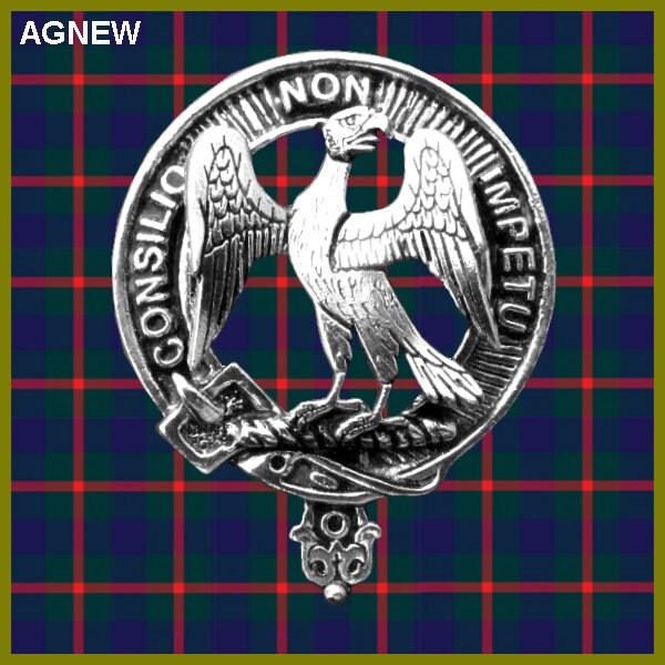 Agnew 8oz Clan Crest Scottish Badge Stainless Steel Flask
