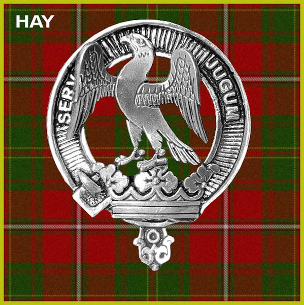 Hay Crest Badge Beer Mug, Scottish Glass Tankard