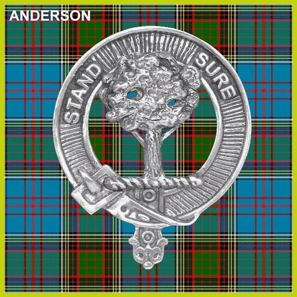 Anderson Clan Badge Scottish Plaid Brooch