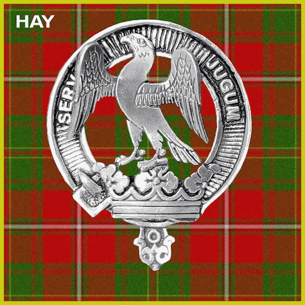 Hay Clan Badge Scottish Plaid Brooch