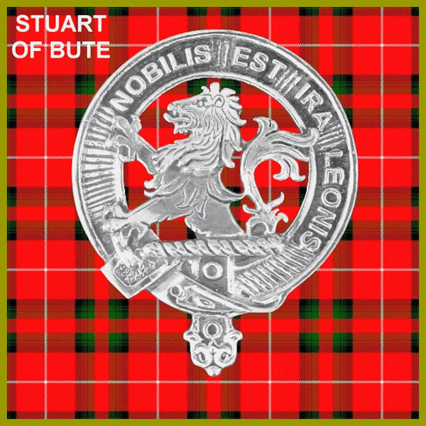 Stuart Clan Badge Scottish Plaid Brooch