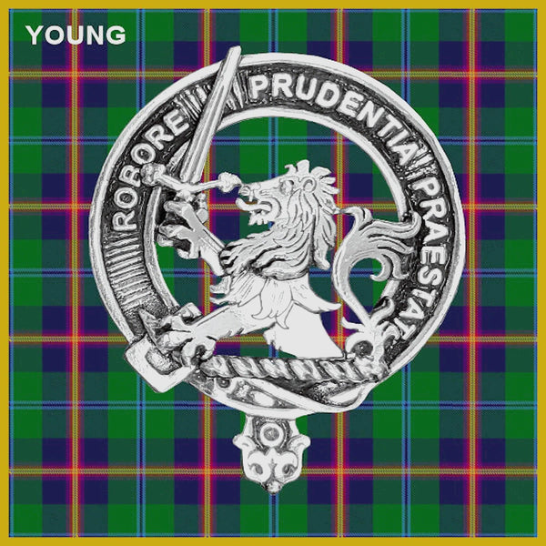 Young Clan Badge Scottish Plaid Brooch