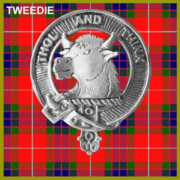 Tweedie Clan Badge Scottish Plaid Brooch