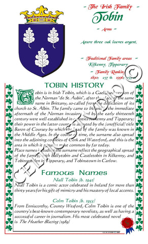 Tobin Irish Family History