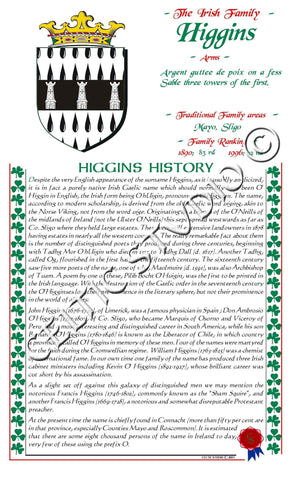 Higgins Irish Family History
