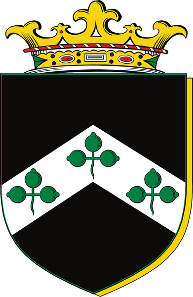 Davis Irish Coat of Arms Disk Cuff Bracelet - Sterling Silver