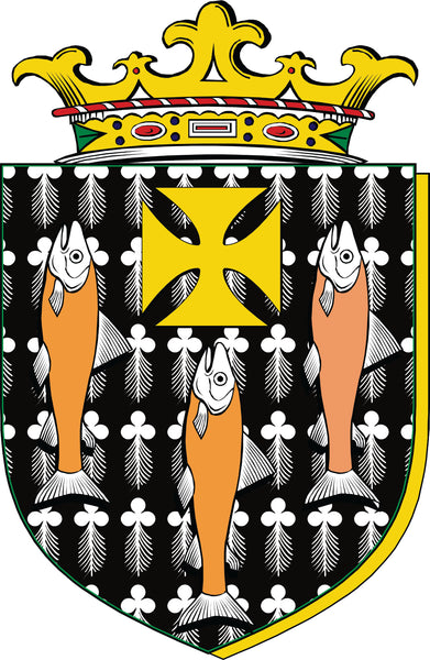 Sammons Irish Coat of Arms Badge Glass Beer Mug