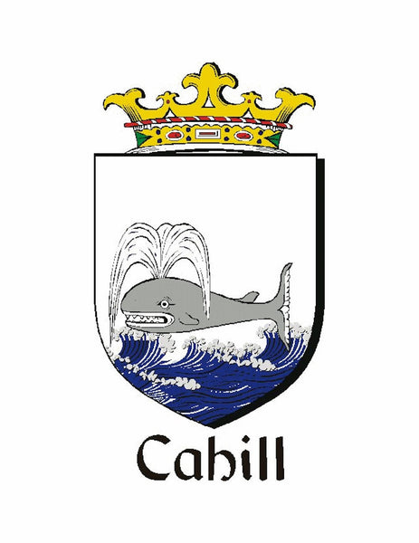 Cahill Irish Coat Of Arms Badge Stainless Steel Tankard