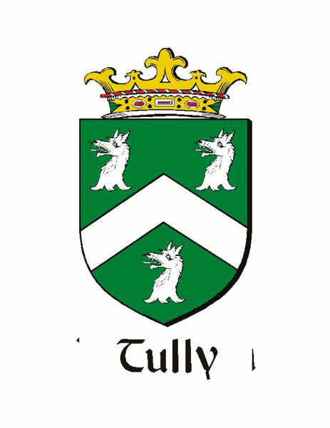 Tully Irish Coat of Arms Clip Tie Bar - ICTB10