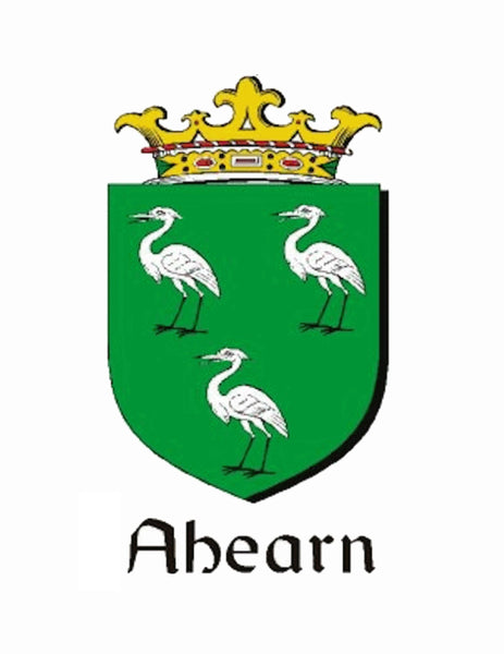 Ahearn Irish Coat of Arms Art Nouveau Drop Pendant