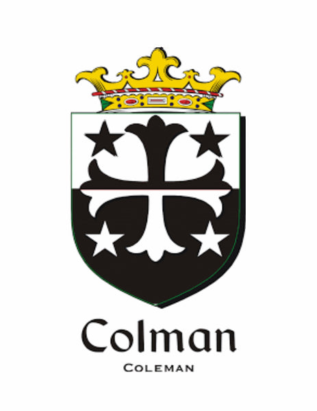 Coleman Irish Coat of Arms Regular Buckle