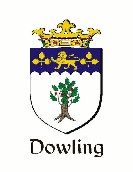 Dowling Irish Coat of Arms Clip Tie Bar - ICTB10