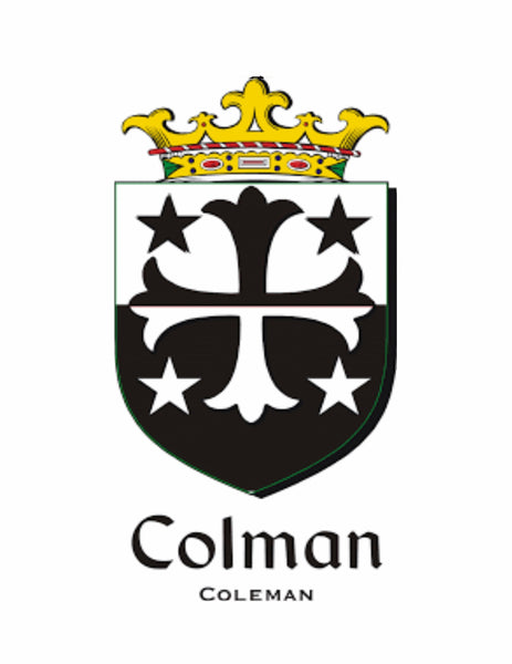 Coleman Irish Disk Coat of Arms Stainless Steel Dog Tag