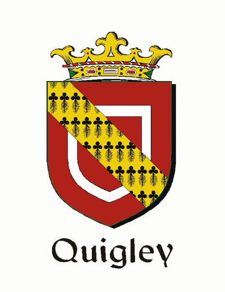 Quigley Irish Disk Coat of Arms Stainless Steel Dog Tag
