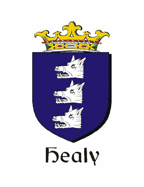 Healy Irish Disk Coat of Arms Stainless Steel Dog Tag