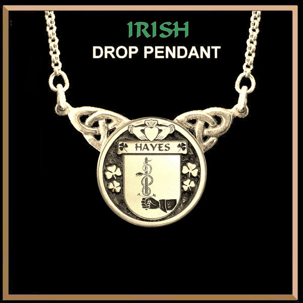 Hayes Irish Coat of Arms Double Drop Pendant ~ ILP03
