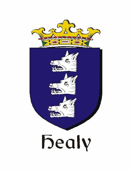 Healy Irish Coat of Arms Double Drop Pendant ~ ILP03