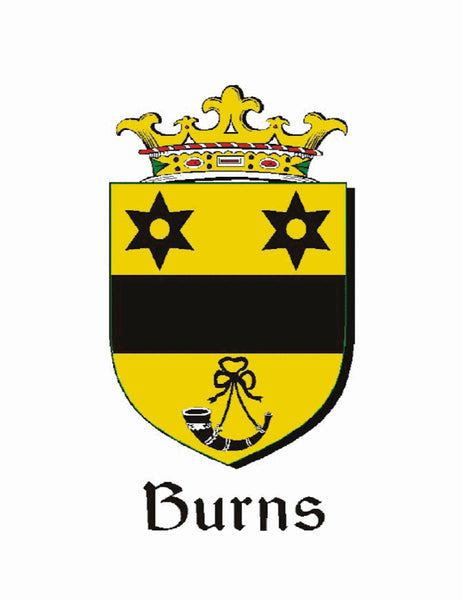Burns Irish Disk Coat of Arms Earrings