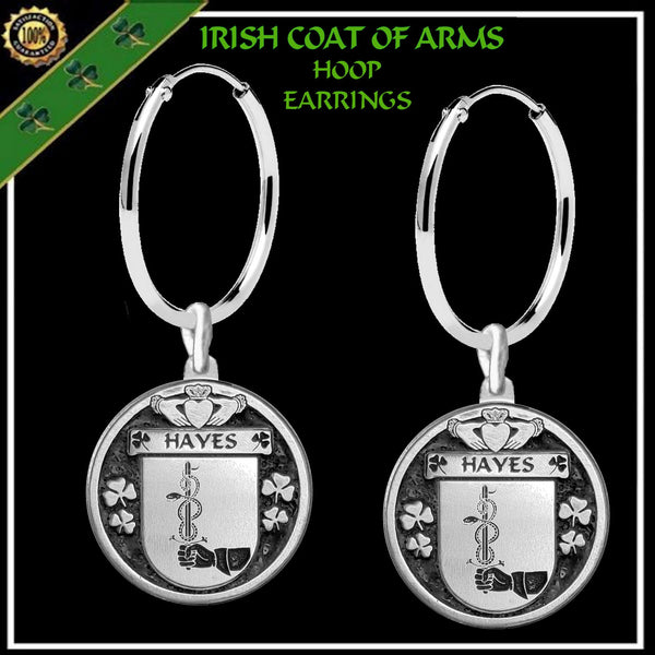 Hayes Irish Disk Coat of Arms Earrings