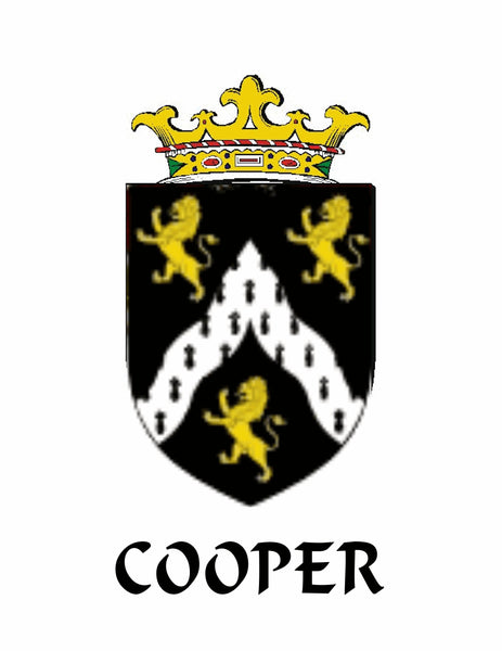 Cooper Irish Coat of Arms Disk Bow Brooch