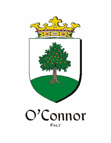 O'Connor Offlay Irish Coat of Arms Disk Bow Brooch