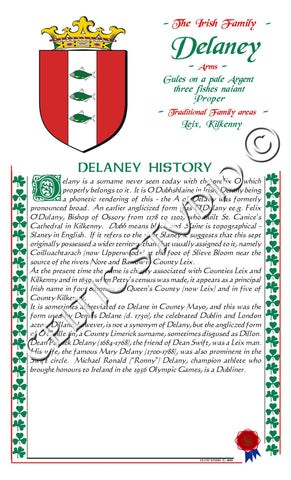 Delany Irish Family History