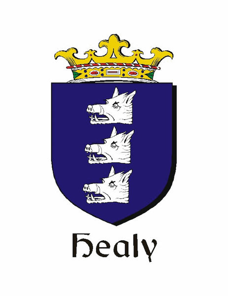 Healy Irish Stainless Steel Key Ring