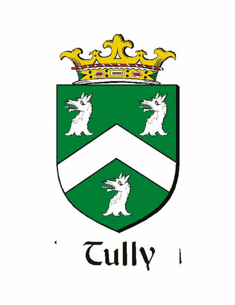 Tully Irish Stainless Steel Key Ring
