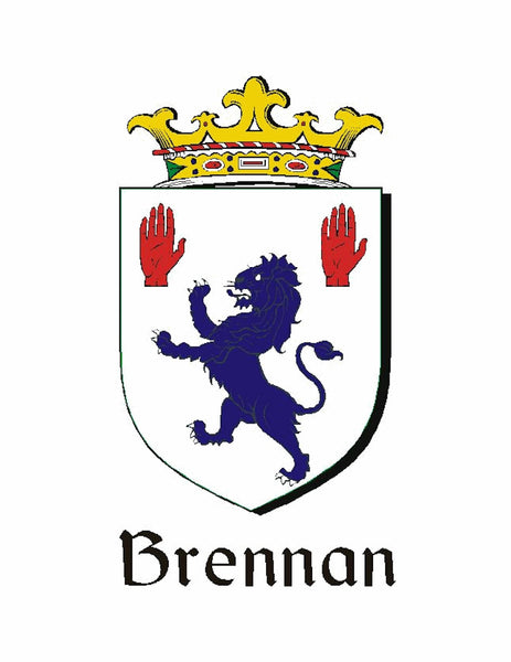 Brennan Irish Stainless Steel Key Ring