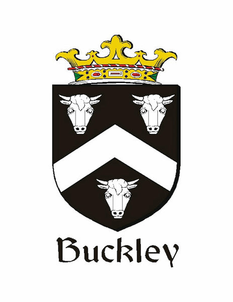 Buckley Irish Stainless Steel Key Ring