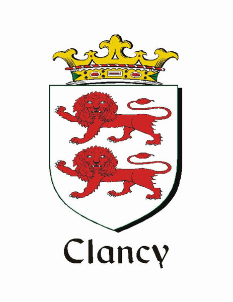 Clancy Irish Stainless Steel Key Ring