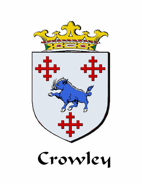 Crowley Irish Stainless Steel Key Ring