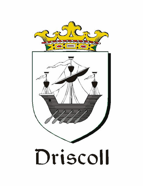 Driscoll Irish Stainless Steel Key Ring