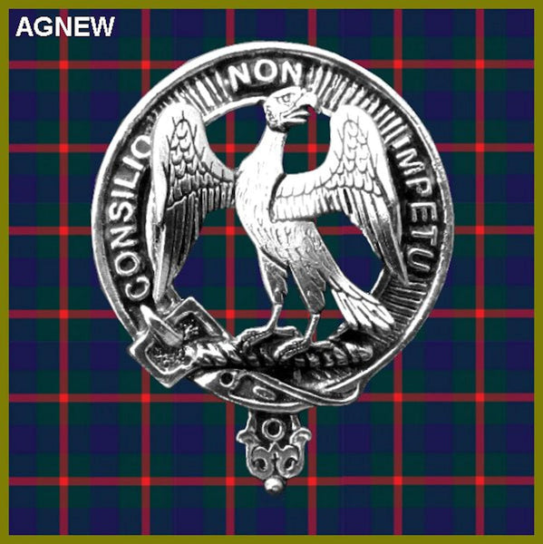 Agnew Clan Crest Badge Glass Beer Mug