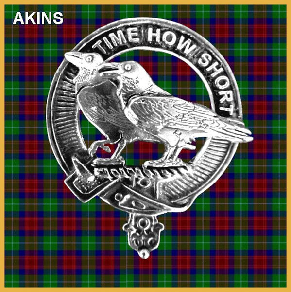 Akins Clan Crest Badge Glass Beer Mug