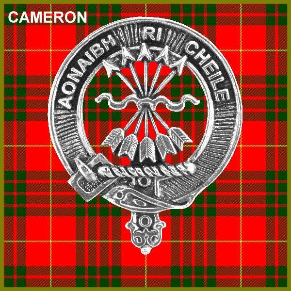a silver crest or badge with a red and green plaid background.