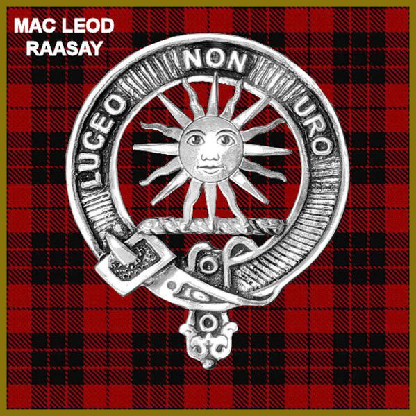 MacLeod Raasay Clan Crest Badge Glass Beer Mug