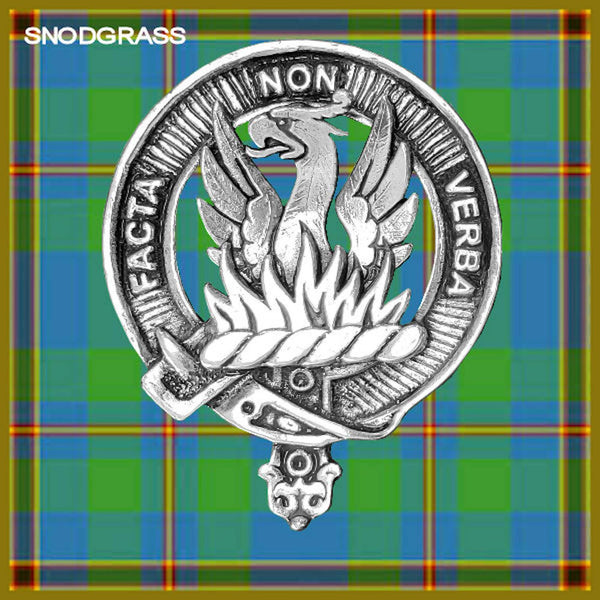 a silver-colored metal emblem with a dragon-like creature and flames, set against a background of a blue and green plaid pattern.