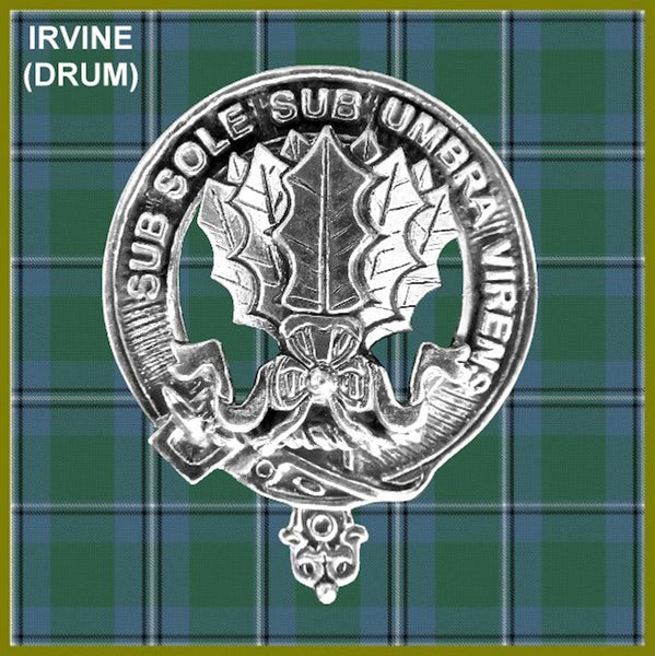 Irvine Crest Badge Beer Mug, Scottish Glass Tankard