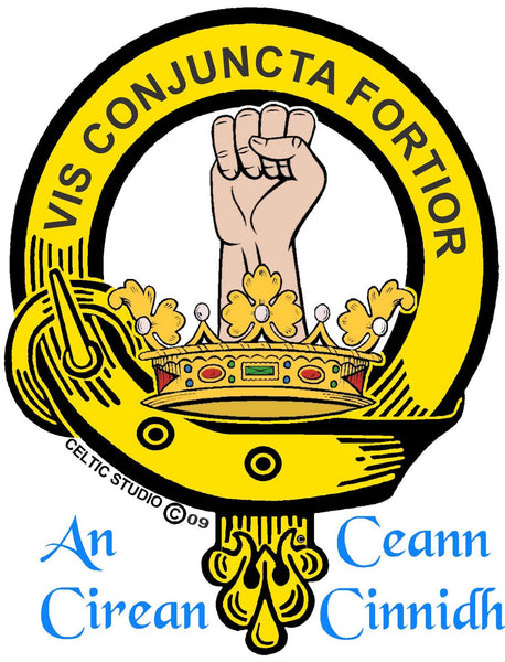 a crest with a raised fist, surrounded by a yellow and black design, and the text "VIS CONJUNCTA FORTIOR" at the top. Below the crest, the text "An Céann Cinnnidh" is displayed.