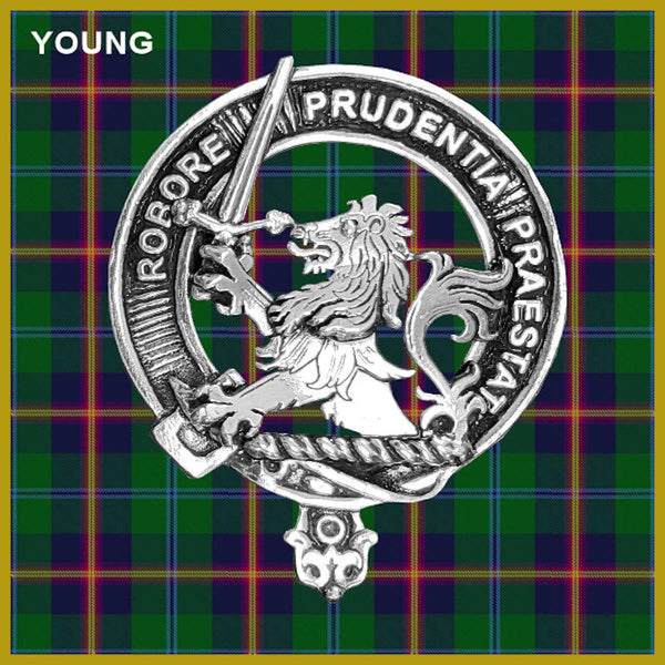 Young Scottish Clan Crest Badge Dress Fur Sporran