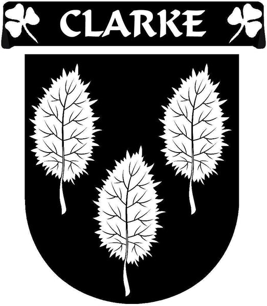 Clarke Irish Coat of Arms Disk Cufflinks