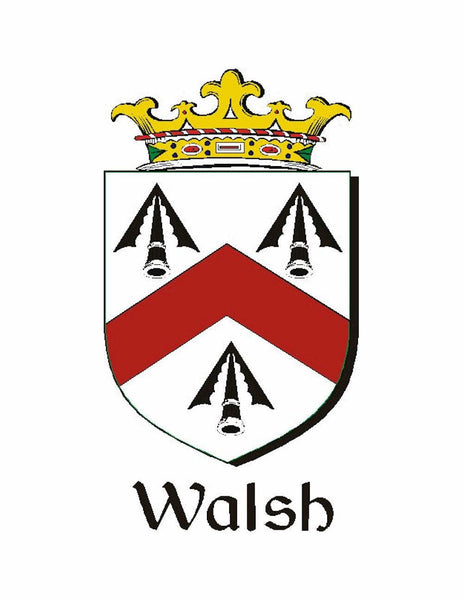 Walsh Irish Coat of Arms Badge Glass Beer Mug