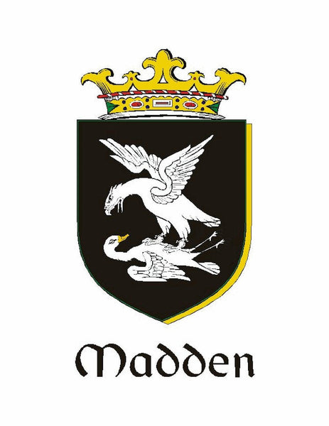 Maddan Irish Coat Of Arms Badge Glass Beer Mug