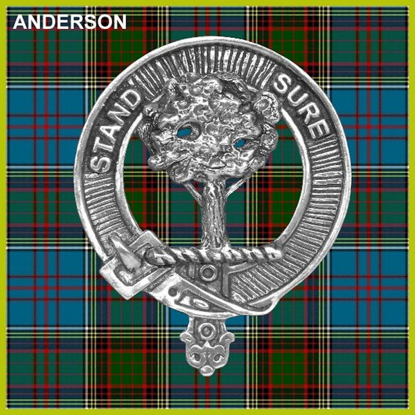 Anderson Clan Crest Badge Glass Beer Mug