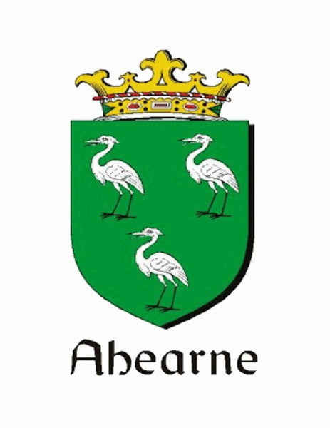 Ahearne Irish Coat of Arms Badge Glass Beer Mug