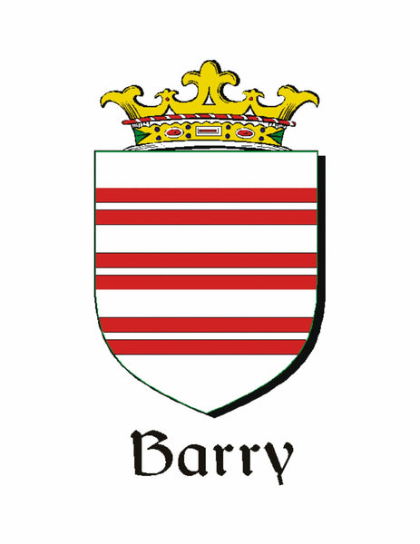 Barry Irish Coat of Arms Badge Glass Beer Mug