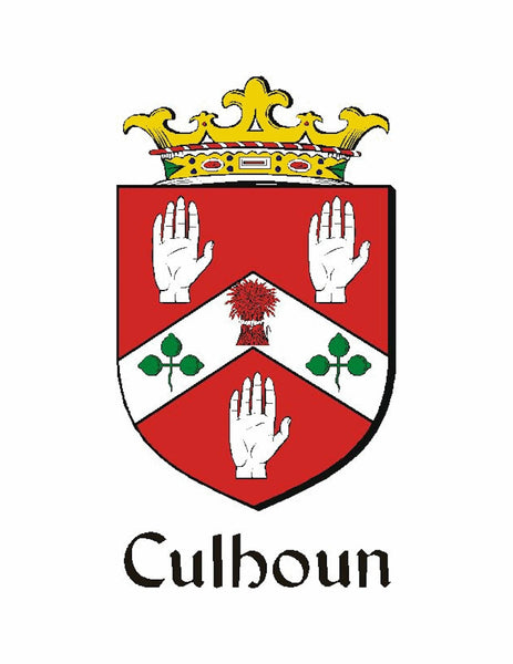 Cullen Irish Coat of Arms Badge Glass Beer Mug