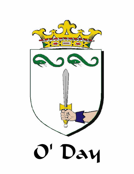 O'Day Irish Coat of Arms Badge Glass Beer Mug