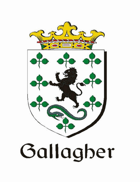 Gallagher Coat of Arms Badge Beer Mug Glass Tankard